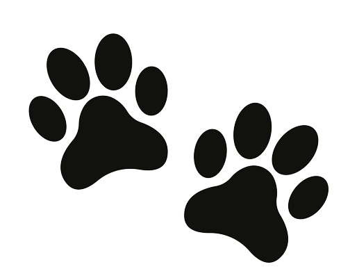 Dog Paws