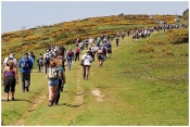Mountbatten Hospice Walk the Wight