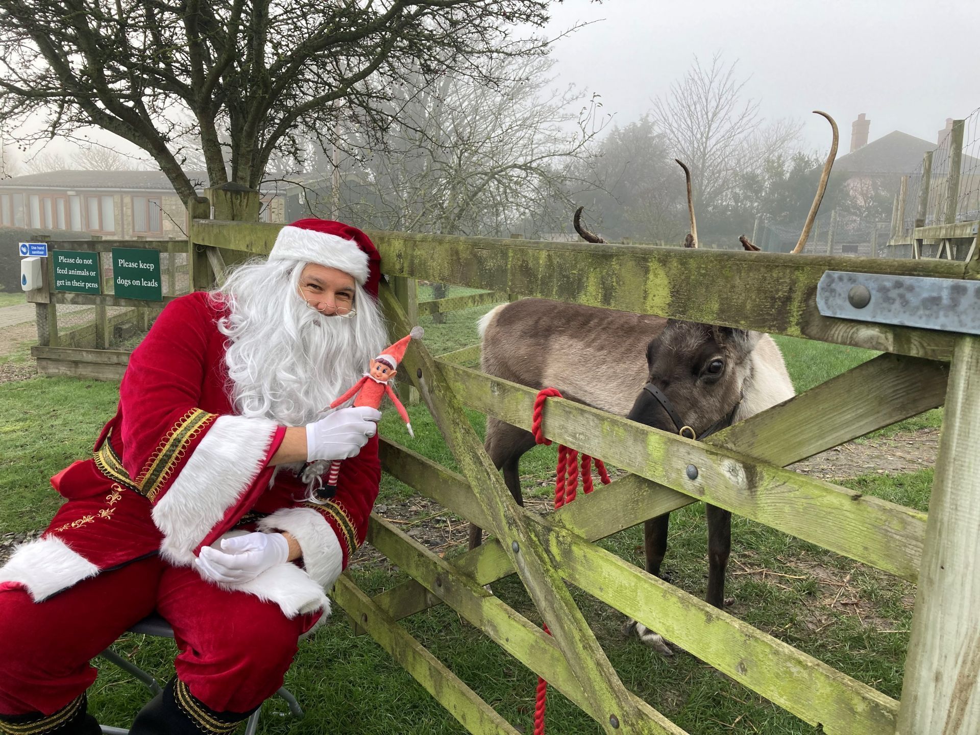 Nativity at Nettlecombe Farm