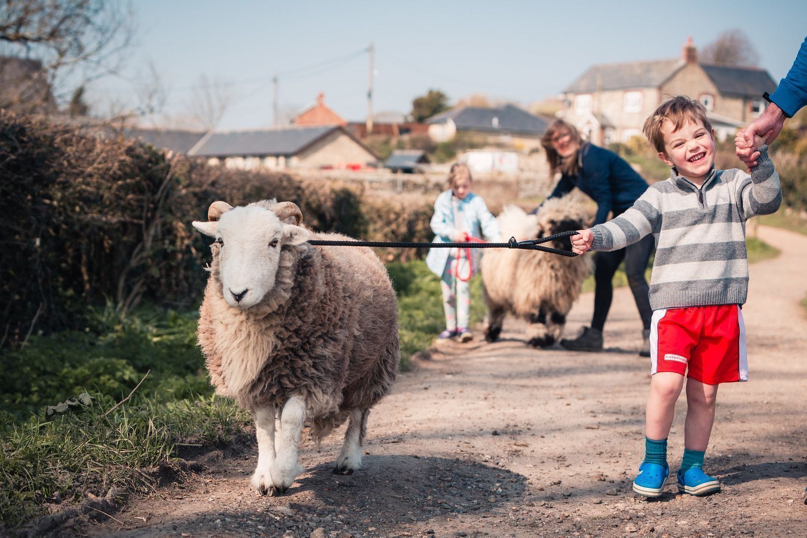 Springing Forward into a New Season